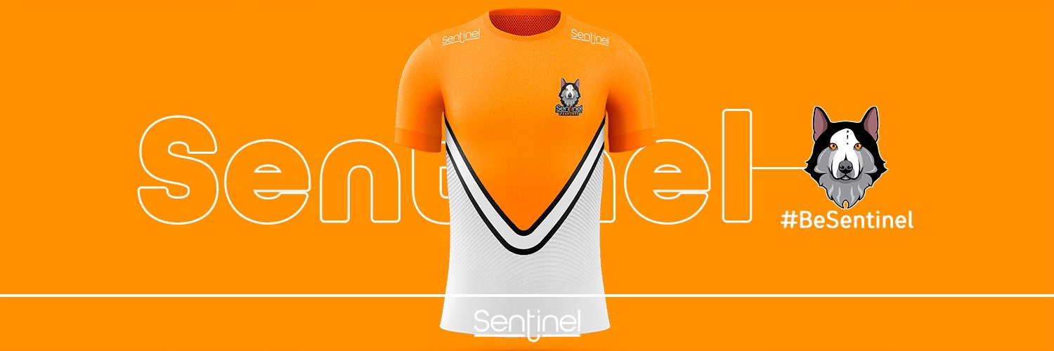 Sentinel Sports C.D. banner