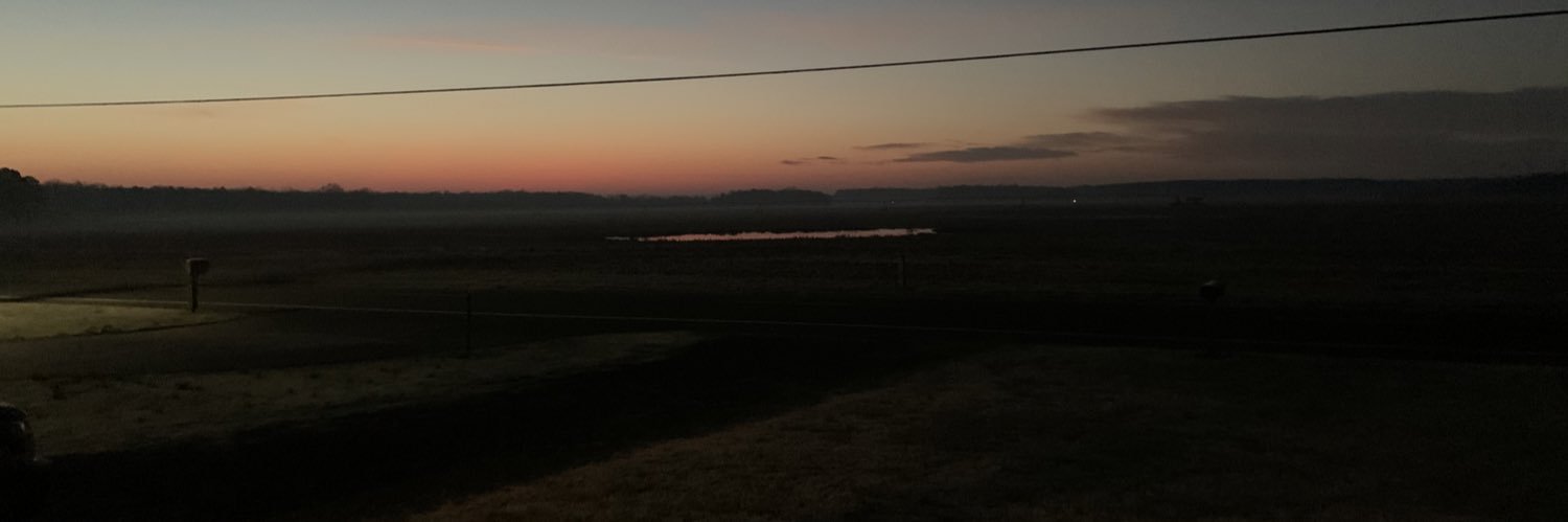 lysssluns's profile banner image