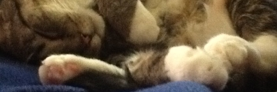 Jpotter74's profile banner image