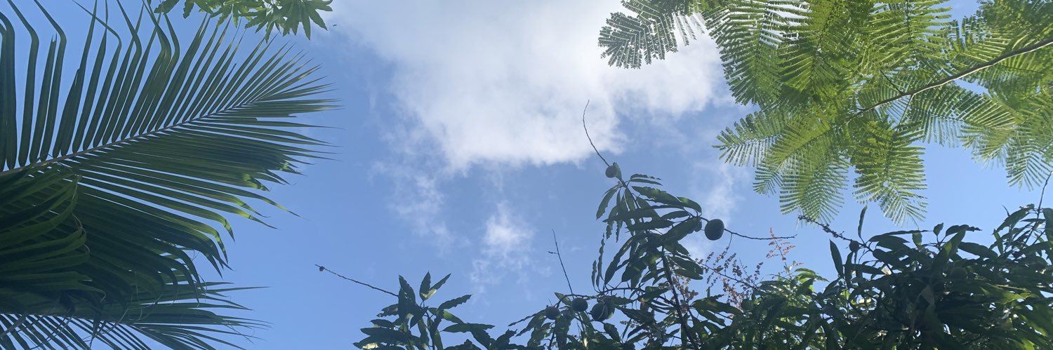 KatariCloud's profile banner image