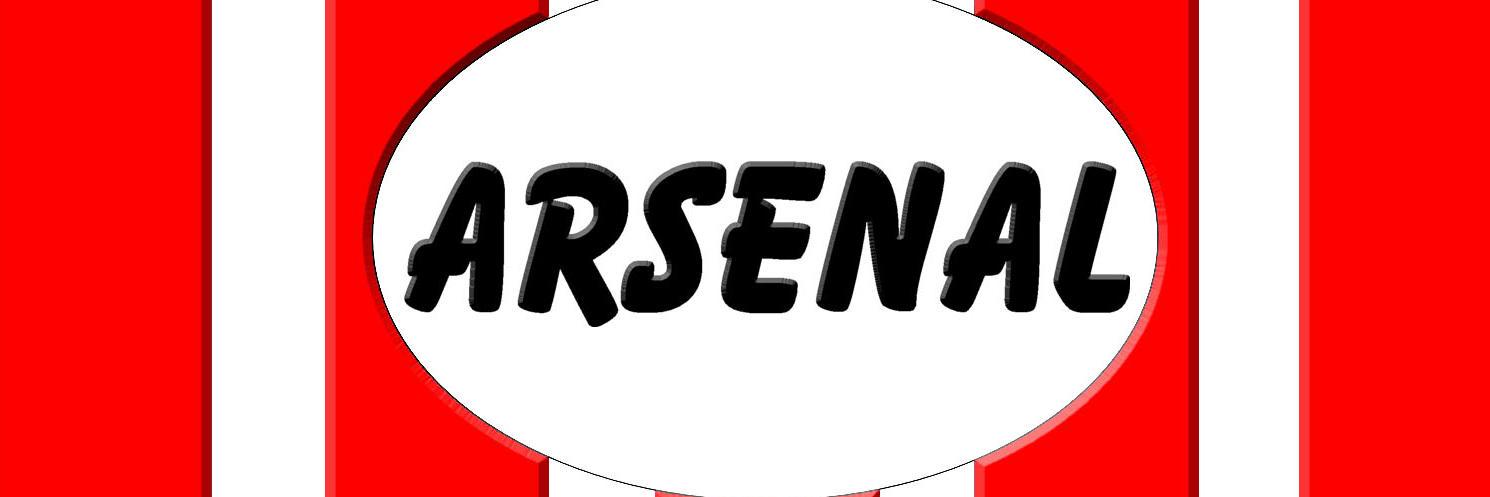 Arsenal_Stall's profile banner image