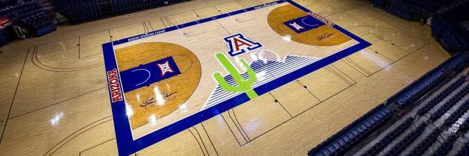 Arizona BearDown! ☀️🌵 banner