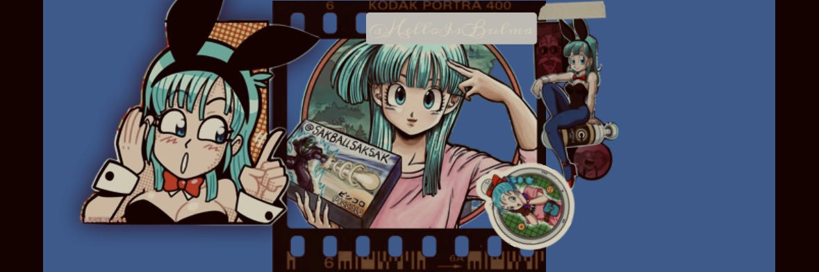 Bulma Briefs banner