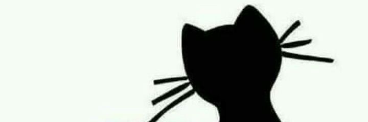 irislunera5's profile banner image