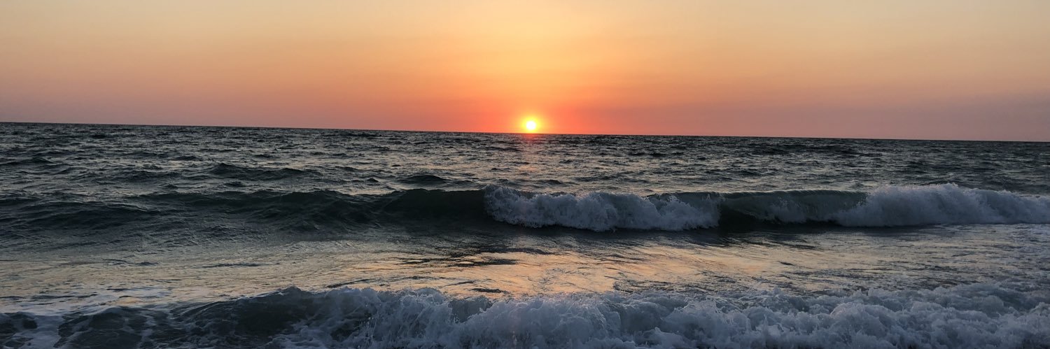 torreywilson's profile banner image