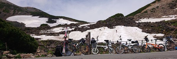 TN_2theta Profile Banner