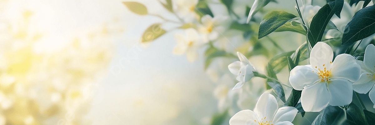 hamsALayam1's profile banner image