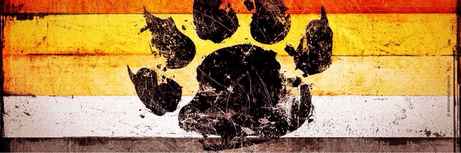 Cubby_Bear81's profile banner image
