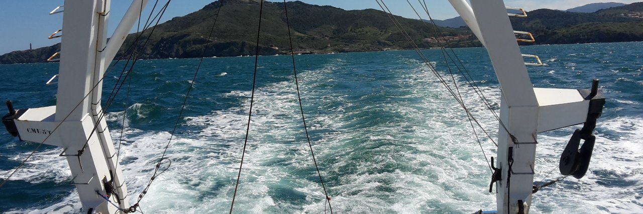 Bourrin François banner