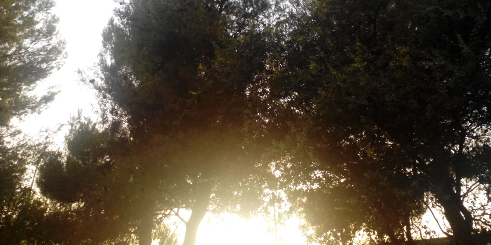 PaulaSlenderman's profile banner image