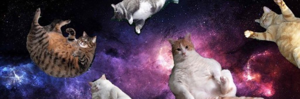 Kelephant78's profile banner image