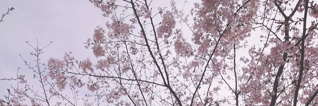 Norigon7's profile banner image