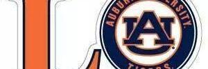 willguil's profile banner image