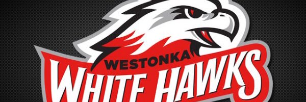 Marty Fischer banner