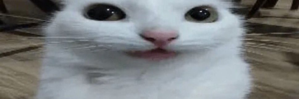 JayWasTooShort's profile banner image