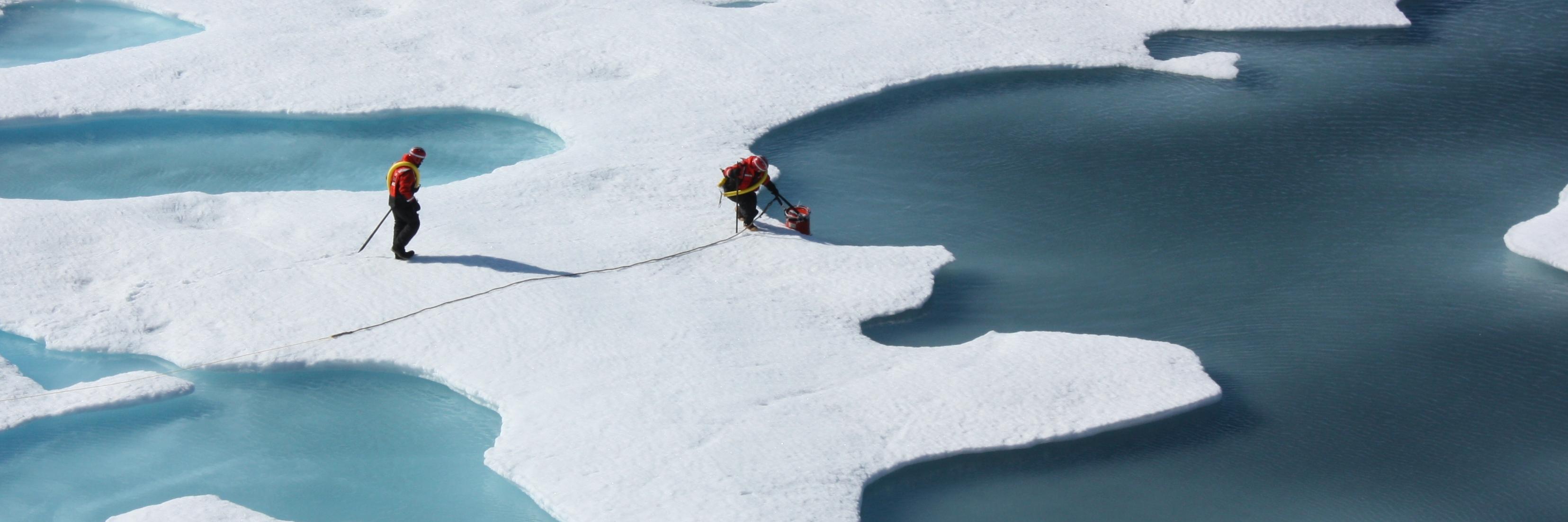 PLOSEcology's profile banner image