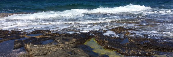 SaraMCN1979 Profile Banner