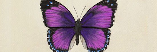 toriicreech's profile banner image