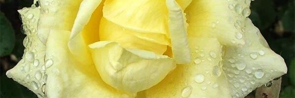 30003pp's profile banner image