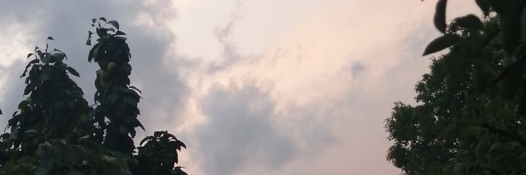 escarlettgm's profile banner image