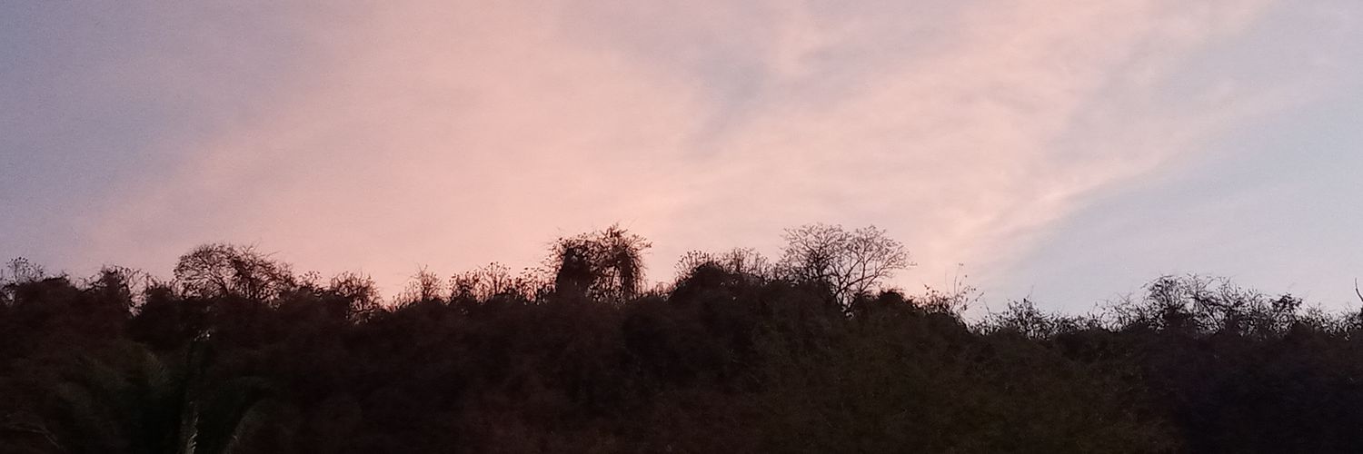 rovycav26's profile banner image