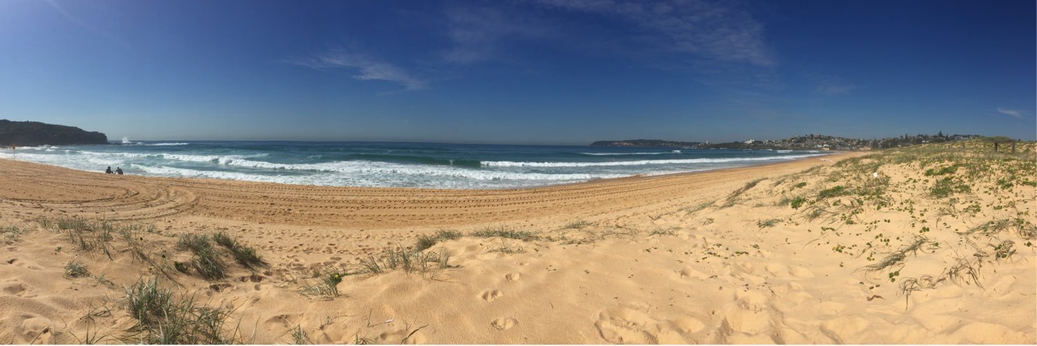 Ollie Cansdell banner