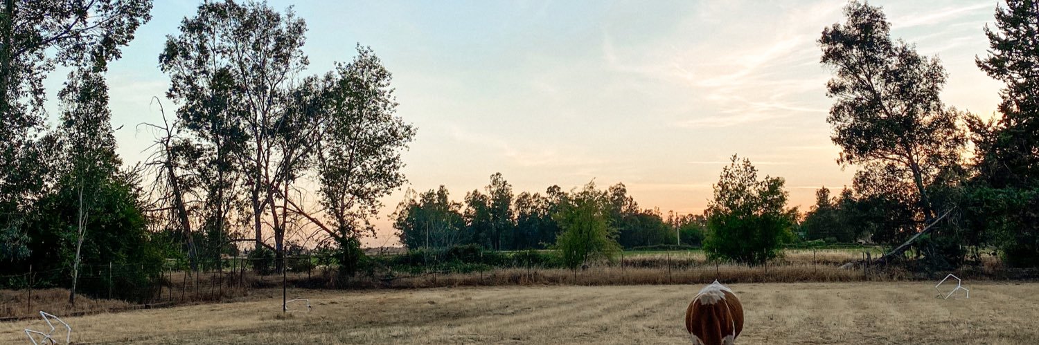 mrkitcarson's profile banner image