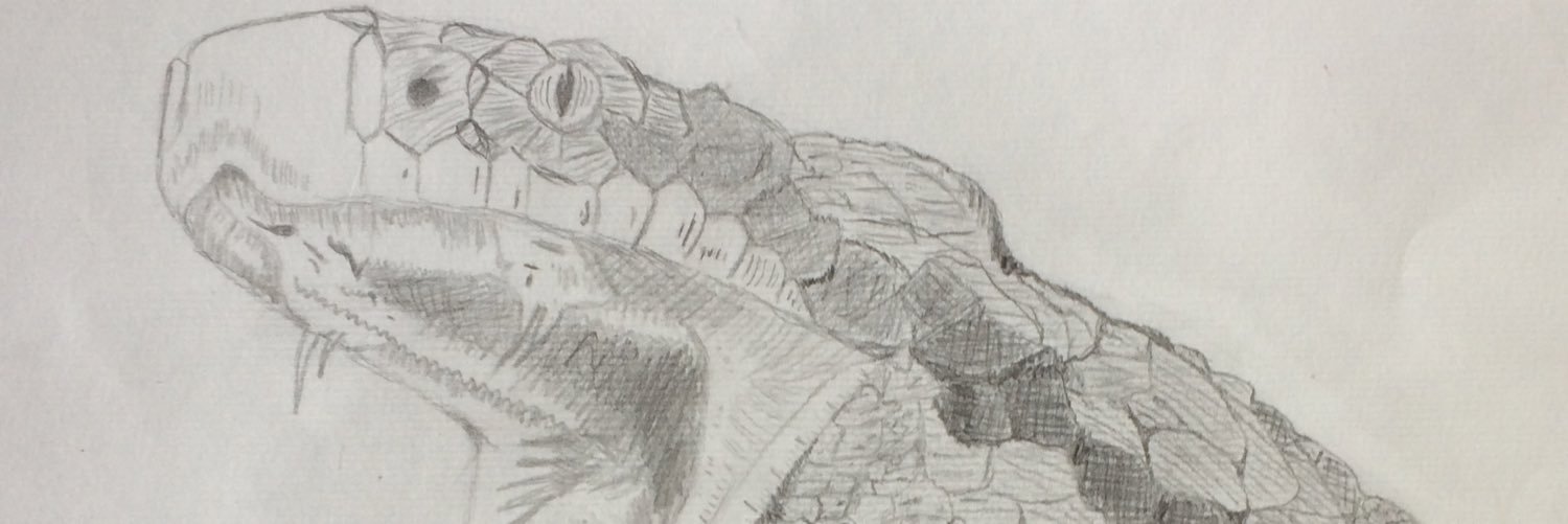 SebastianFuch19's profile banner image