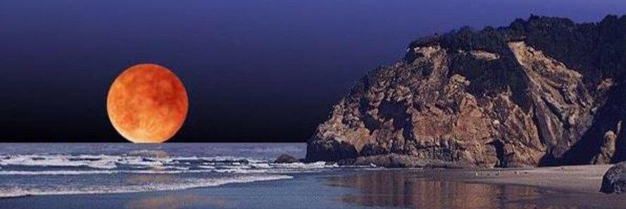 SEA_eclare's profile banner image