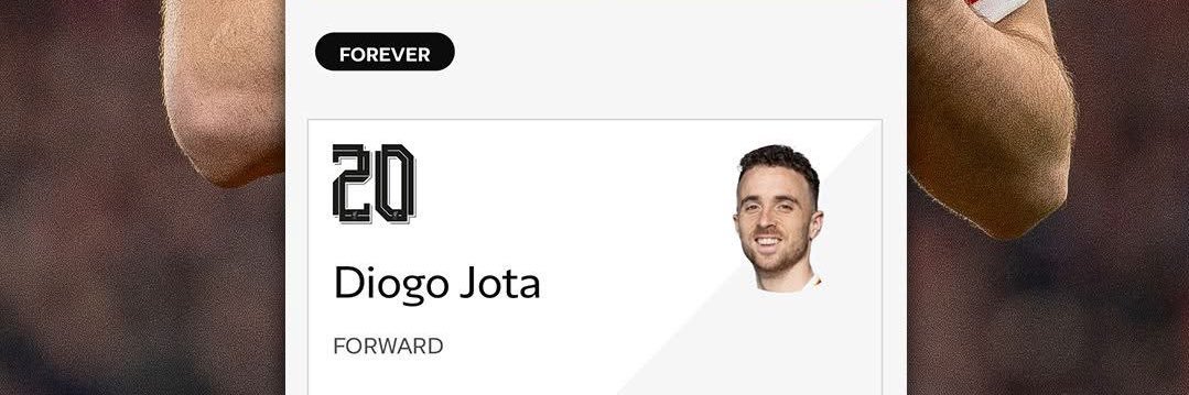 Nnaemeka Udeani banner