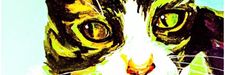 SirBiscuitCat's profile banner image