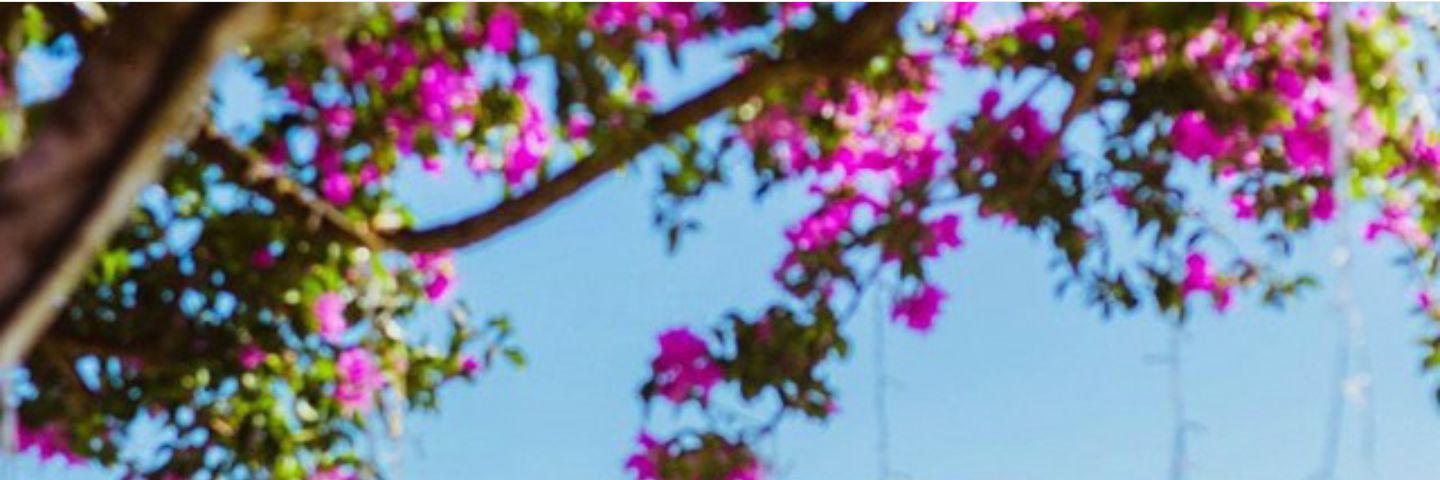 khktbt's profile banner image