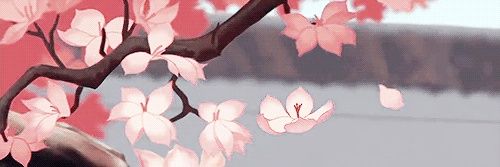 evagarrr's profile banner image
