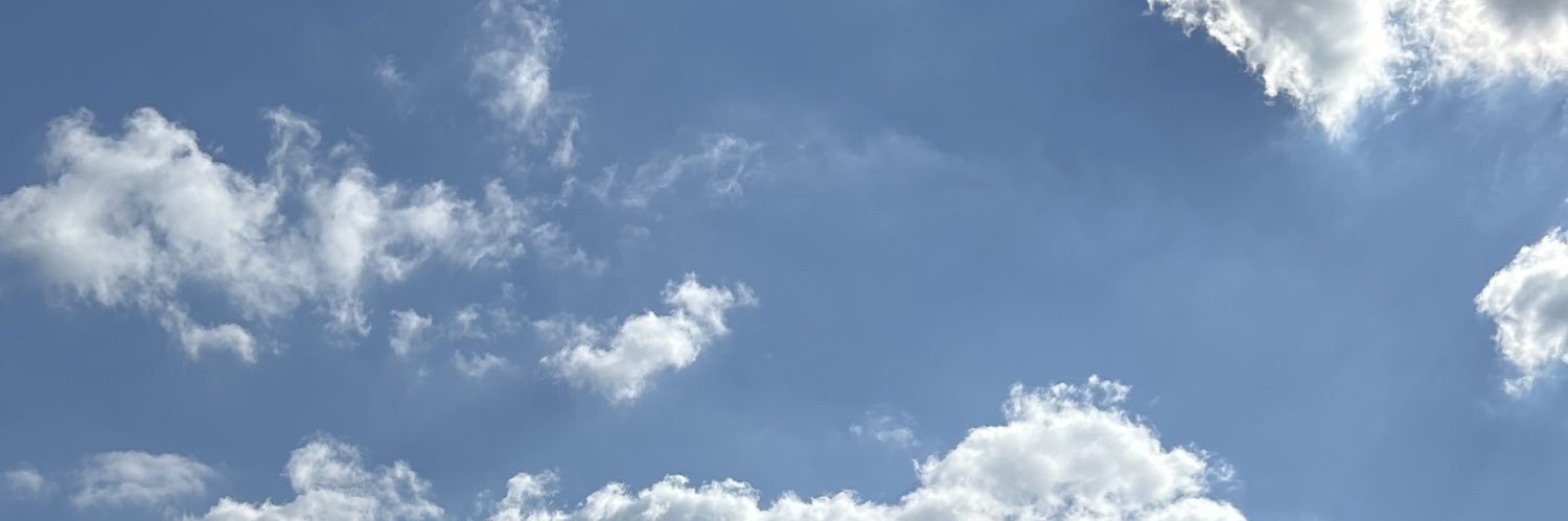 eline banner