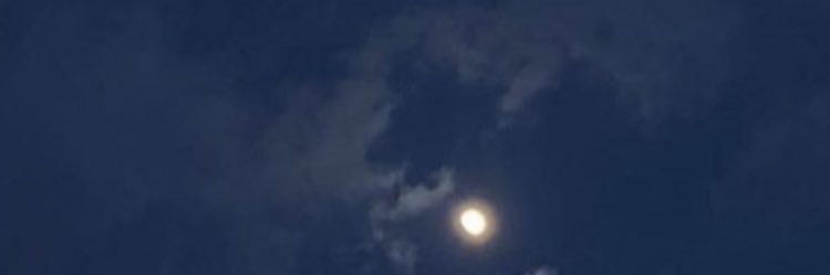 nnii_209's profile banner image