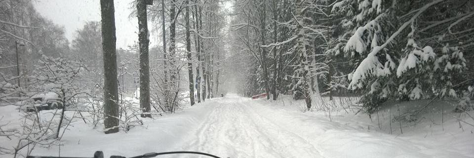 davelazarevic's profile banner image