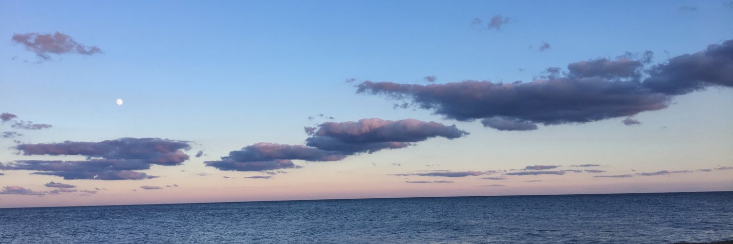 graceslesh's profile banner image
