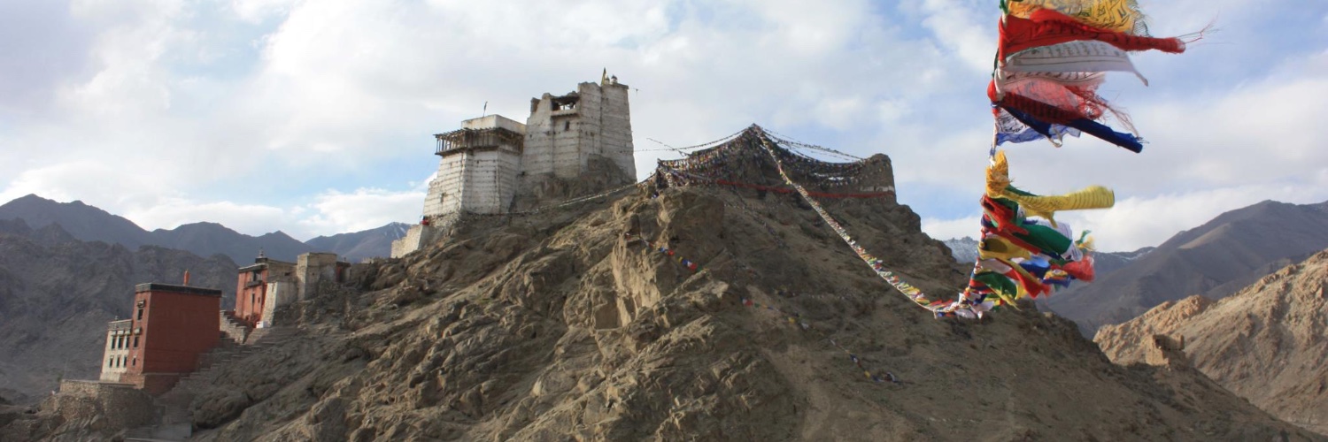 Tyler Marghetis banner