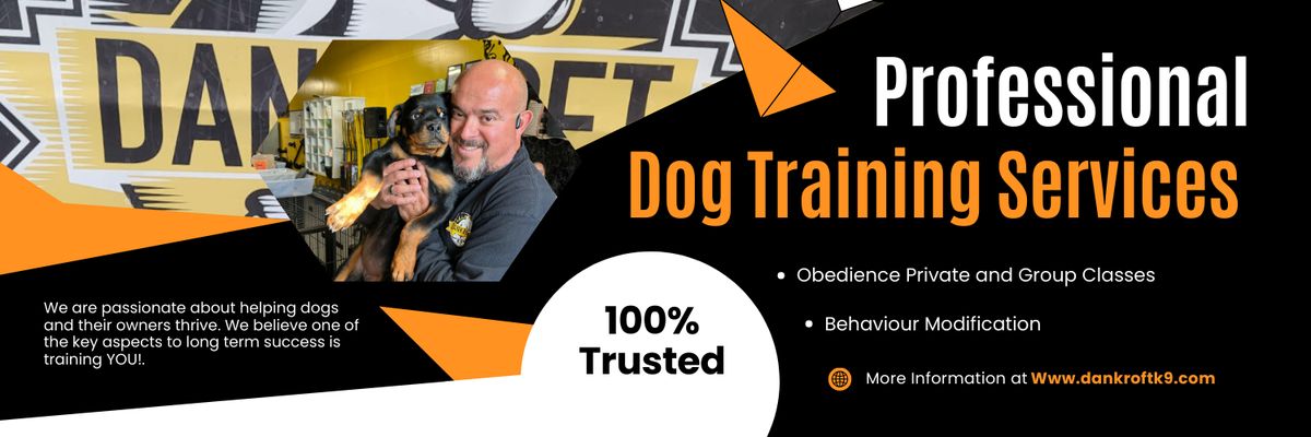 Daniel Aular banner