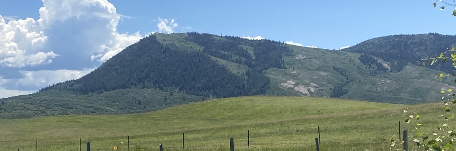 Grindsnet's profile banner image