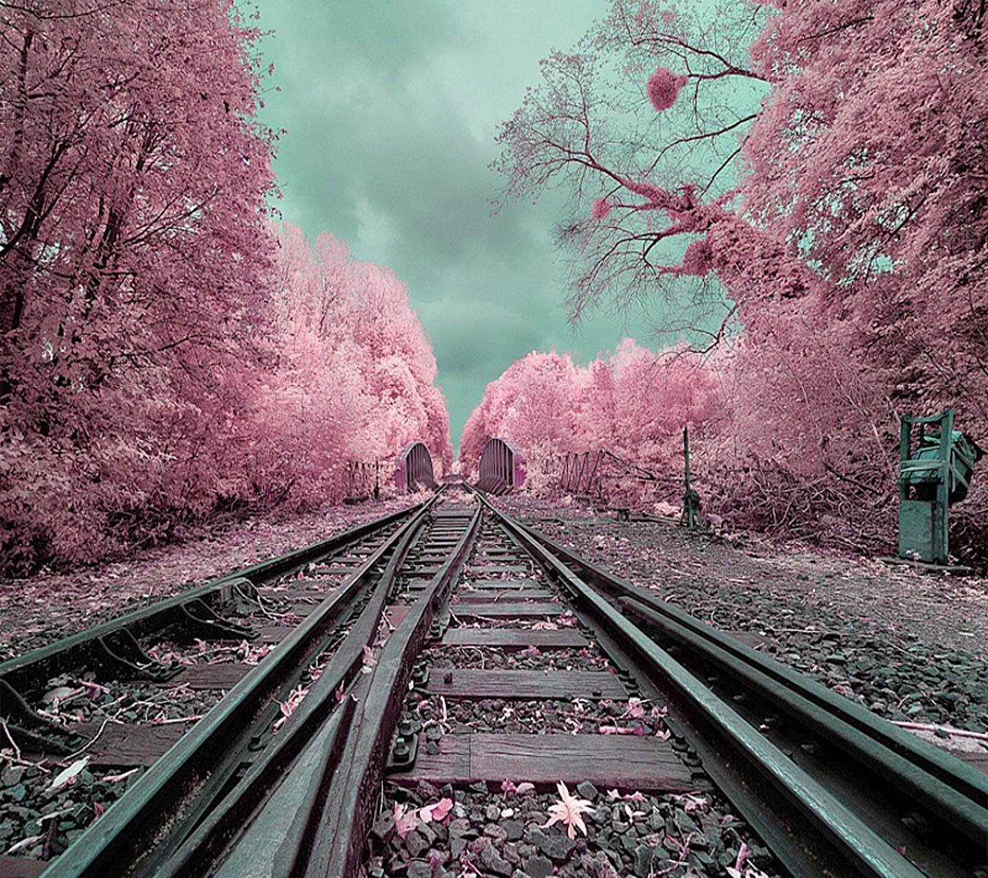 anasol_'s profile banner image