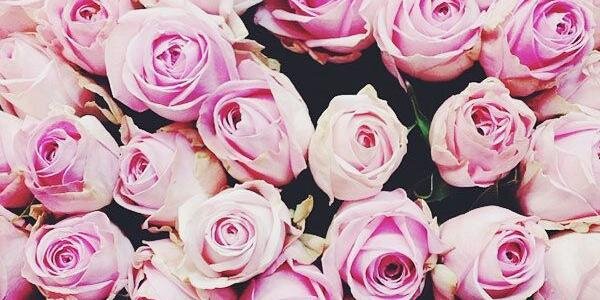 EmilySutton2's profile banner image
