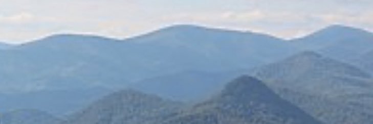 Tressler banner