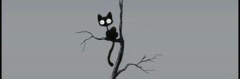 merve_d_2's profile banner image