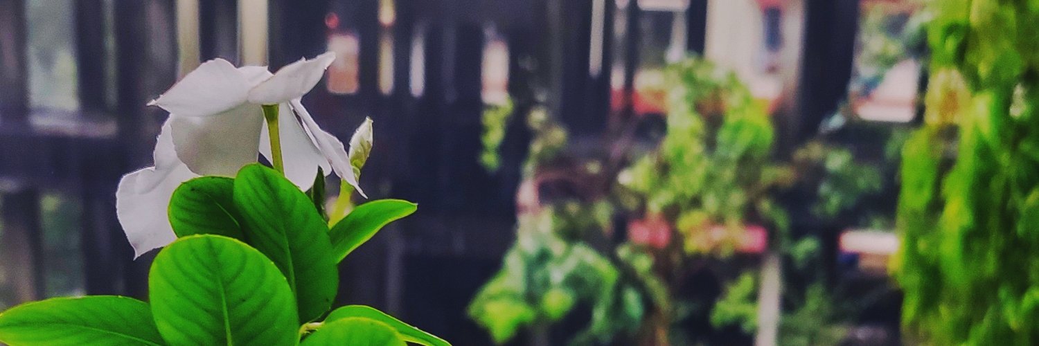 abhidada10's profile banner image