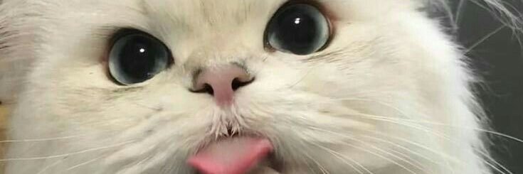 SweetcandyAdk's profile banner image