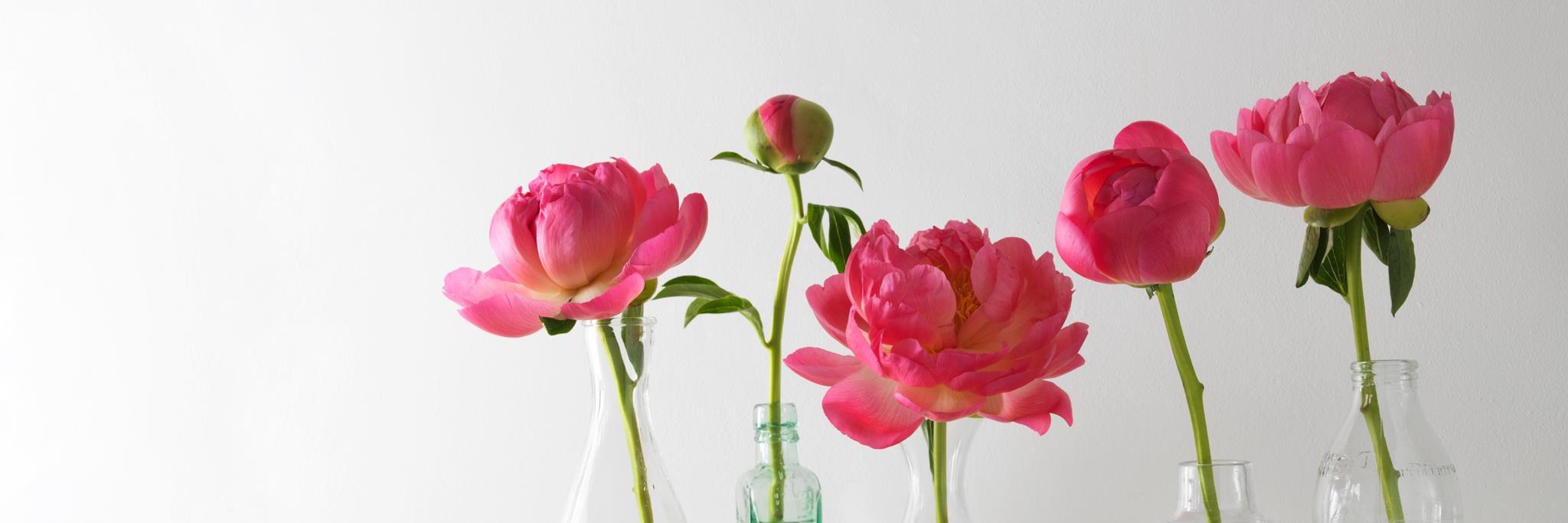 Meraki__Beauty's profile banner image