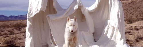 Instituto White Moon banner