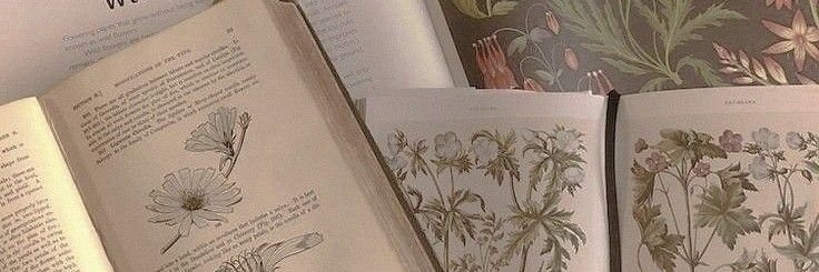 Greenselevato's profile banner image