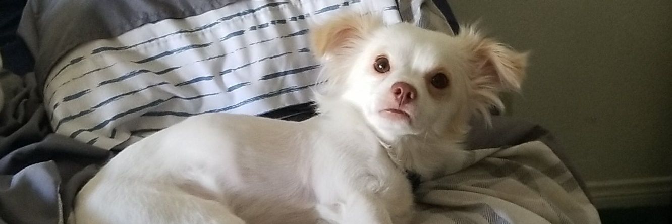 lilman2524's profile banner image